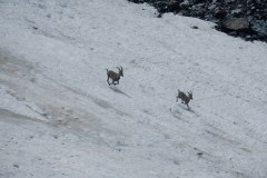 Leçon de ski, à la Jean-Claude (Killy)
