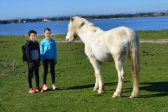 Etang du Ponant au Grau-du-Roi : Hippolyte, Claire et un cheval