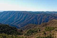 Montée vers l'Aigoual depuis Valleraugue