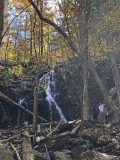 Shenandoah NP - Overall Run Fall