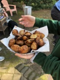 Courgettes et champignons frits