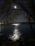 Alexandria-VA-Clair-de-lune-3