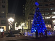 Sapin de Noel de Reston, VA