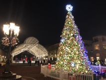 Sapin de Noel de Reston, VA