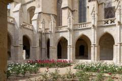 20210530_161107_Narbonne_DxO