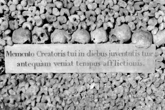 20210713_180042_Catacombes_DxO