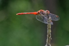 20210725_145904_MaraisBouligons_A