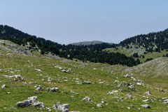 20210729_140909_VallonCombau_DxO