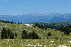 20210729_144529_VallonCombau_DxO