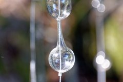 20210826_103439_Horizons_DxO