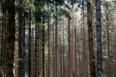 20210826_105719_Horizons_DxO