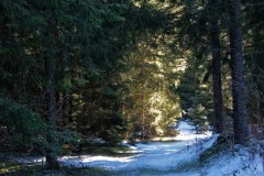 20220126_105527_PuyLaVache_edTMP-1