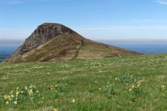 Banne d'Ordanche : sommet