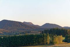 Le bois basalte à Sauterre : Puy de Louchadière, Puy de Dôme, le Grand Suchet, Puy de Côme