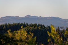 Le bois basalte à Sauterre : le Sancy