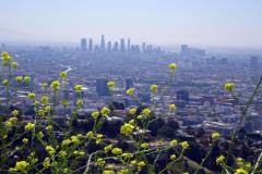 1-Los-Angeles-1