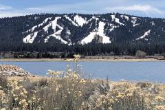 4-Big-Bear-3