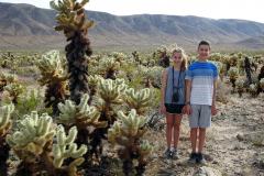 5-Joshua-Tree-NP-9