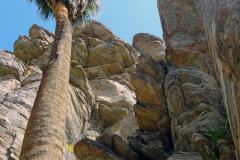 6-Palm-Springs-5