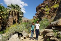 6-Palm-Springs-6