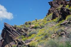 6-Palm-Springs-7
