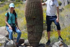 6-Palm-Springs-9