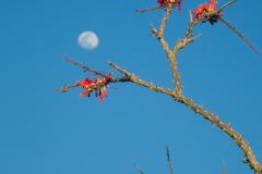 8-Anza-Borrego-State-Park-4
