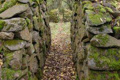 Chemin Fais'Art