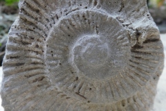 P1140870