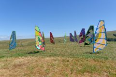 Horizons : Effet Papillon - la steppe auvergnate