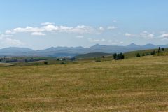 Horizons : Effet Papillon - la steppe auvergnate : les monts du Cantal