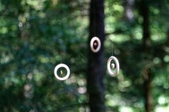 Horizons : Dissémination éruptive - Bois et mousse près de Saint-Genès Champespe
