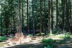 Horizons : Dissémination éruptive - Bois et mousse près de Saint-Genès Champespe