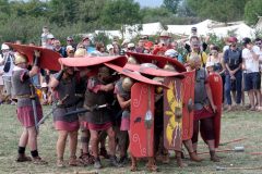 Démonstration équestre aux Arverniales