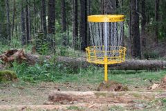 Parcours de "Disc-Golf" à Pessade : le panier