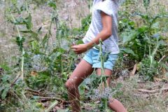 Parcours de "Disc-Golf" à Pessade : Claire