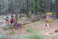 Parcours de "Disc-Golf" à Pessade : en sous bois