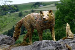 Horizons-Sancy : Orée à Chastreix - Loup de Courlande