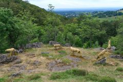 Horizons-Sancy : Orée à Chastreix - Loups de Courlande