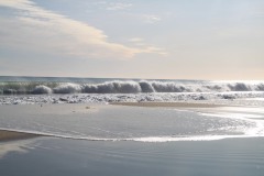 IMG_3474