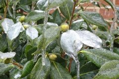 Pluie-verglacante-03