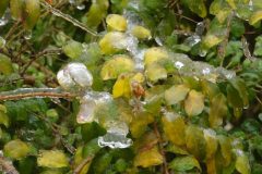 Pluie-verglacante-04