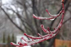 Pluie-verglacante-06