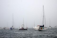 1-Newport-74_edited-1