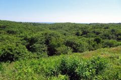 10-Block-Island-36_edited-1