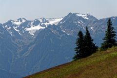Olympic Mountains : Hurricane Ridge - Mount Olympus (2428 m)
