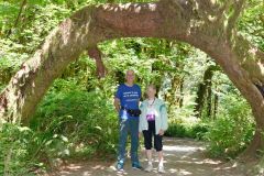 Olympic Mountains - Hoh Rainforest - Maurice et Monique