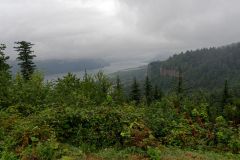 Gorge de la Columbia (OR) dans le brouillard