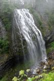 En route vers Mount Rainier : cascade