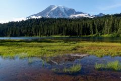 Reflet de Mount Rainier